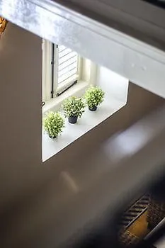 Piscadera Seaview Apartments ウィレムスタッド アパートホテル